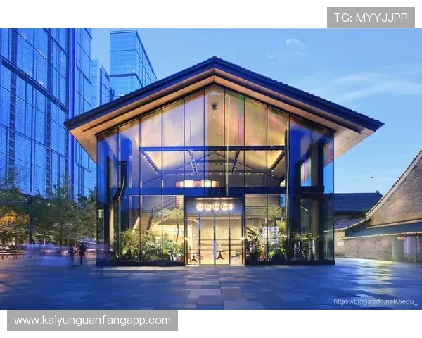 开云体验app入口：一站式开启奢华品牌购物体验的官方入口推荐