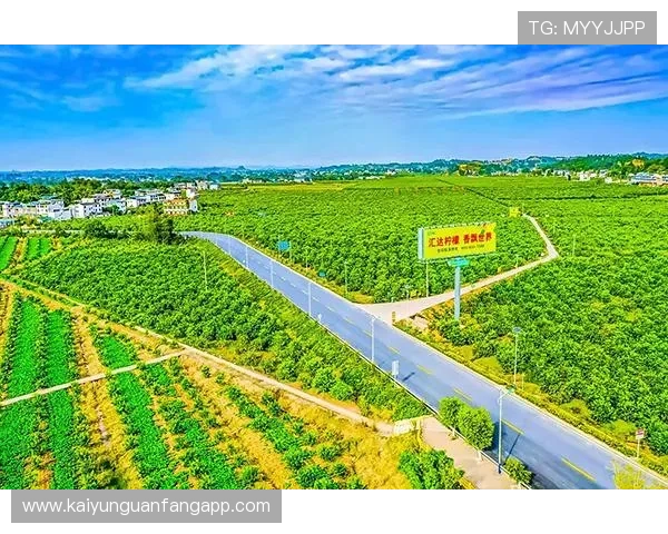 云开体育官方：助力体育产业创新发展的核心力量